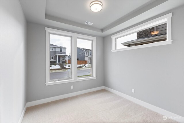 empty room with a raised ceiling and carpet flooring