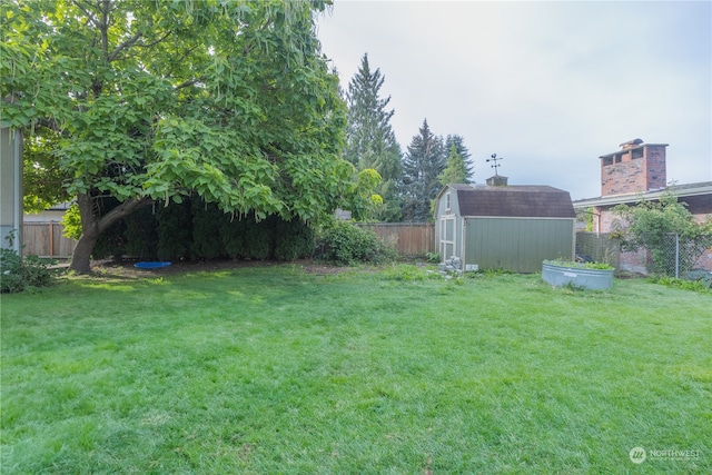 view of yard featuring a storage unit