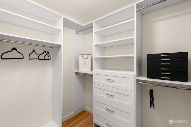 spacious closet with light wood-type flooring