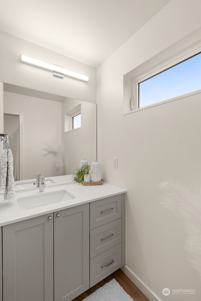 bathroom with hardwood / wood-style floors and vanity