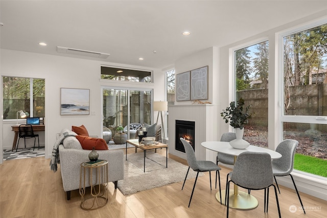 living room with light wood-type flooring and plenty of natural light