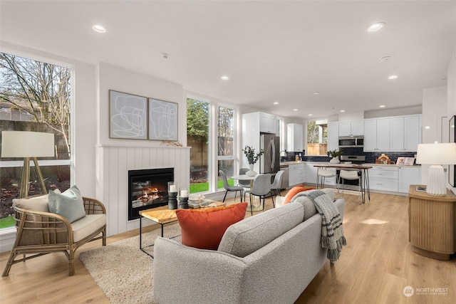 living room featuring light wood-type flooring