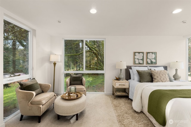 bedroom with light colored carpet