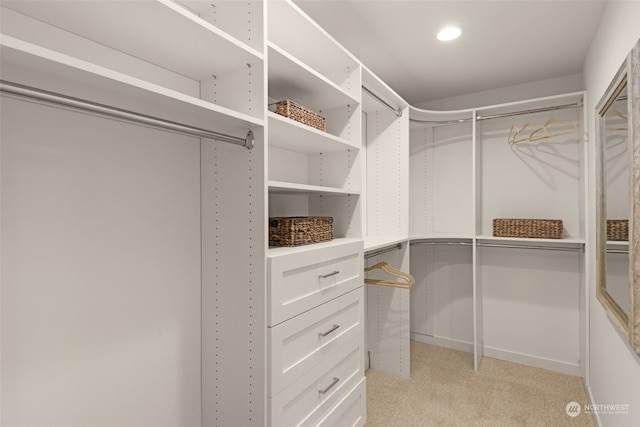 spacious closet featuring light colored carpet