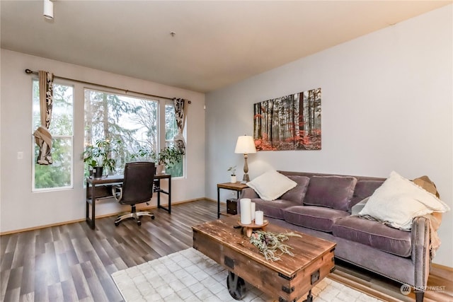 living room featuring hardwood / wood-style flooring