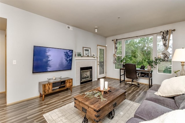 living room featuring a fireplace and hardwood / wood-style flooring