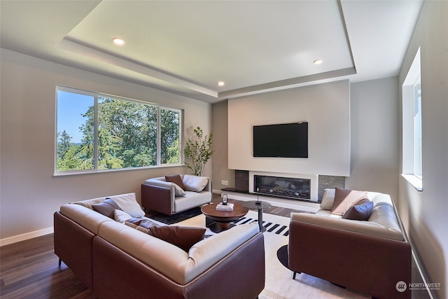 living room featuring a tray ceiling and hardwood / wood-style floors