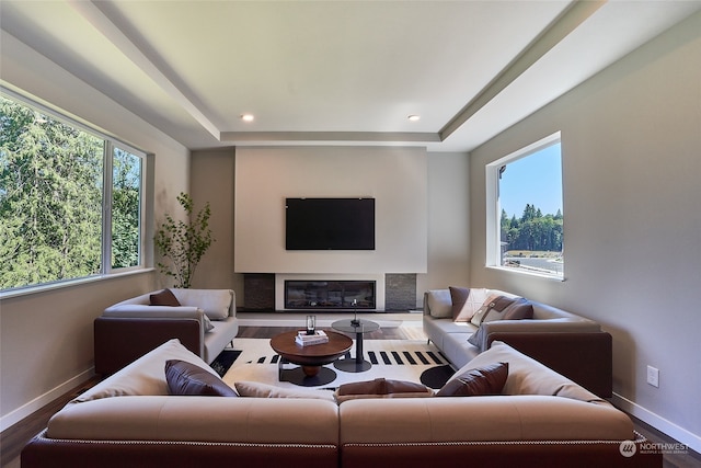 living room featuring a raised ceiling and hardwood / wood-style floors