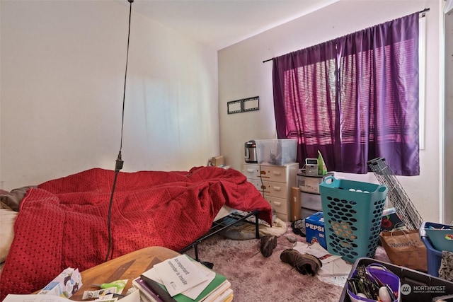 bedroom featuring carpet flooring