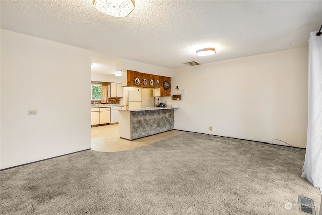 unfurnished living room featuring light colored carpet and a textured ceiling