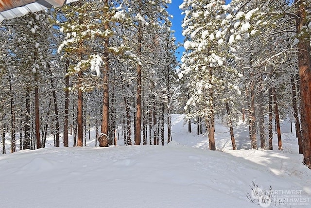 view of yard covered in snow