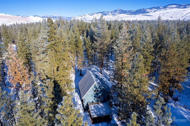 birds eye view of property featuring a mountain view