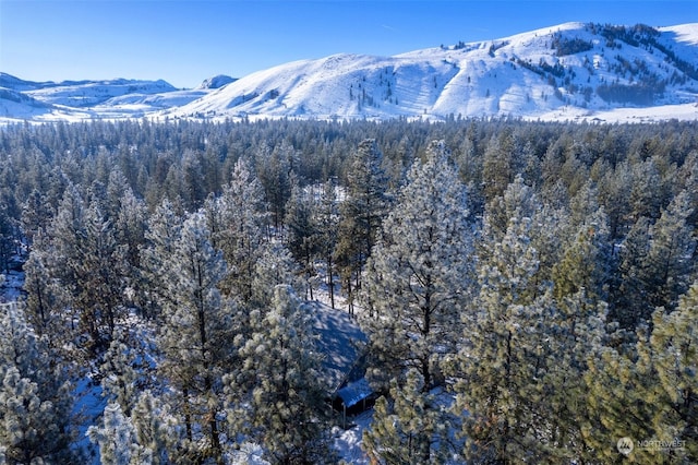 view of mountain feature