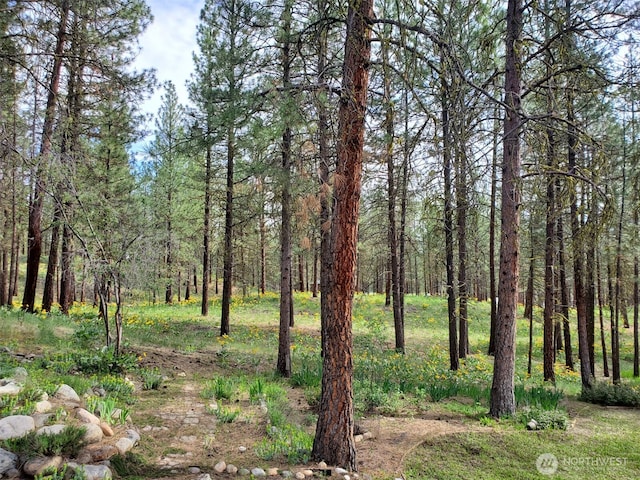 5 Chase Rd N, Winthrop, WA 98862 - view of woods