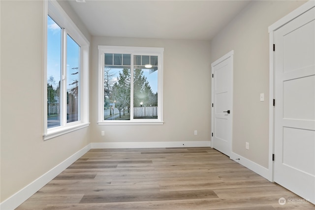 spare room featuring a healthy amount of sunlight and light wood-type flooring