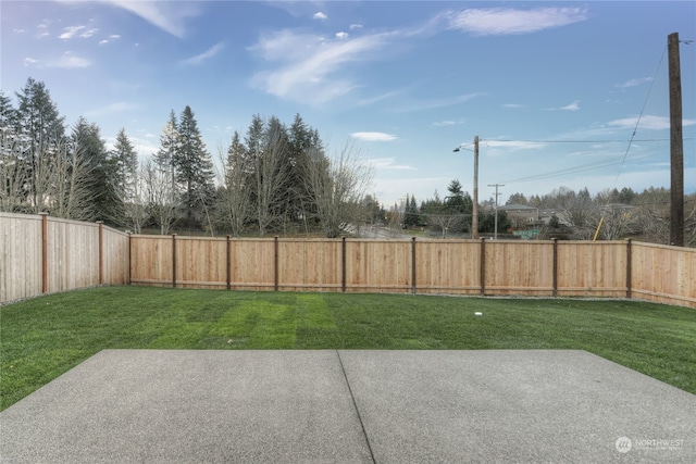 view of yard featuring a patio