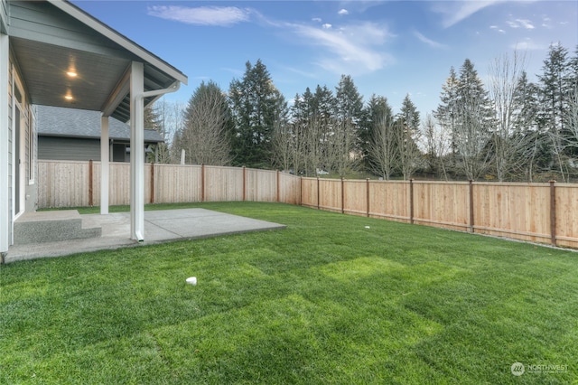 view of yard featuring a patio area