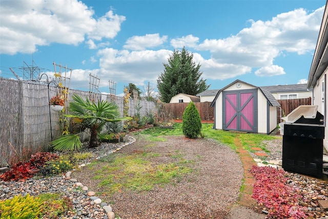 view of yard featuring a storage shed