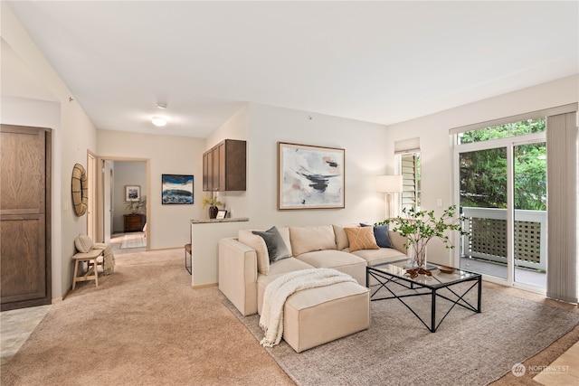 view of carpeted living room