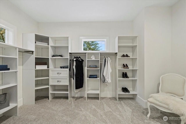 spacious closet with light colored carpet