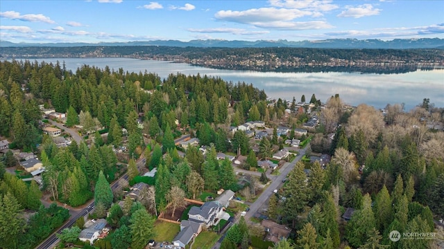 drone / aerial view featuring a water and mountain view