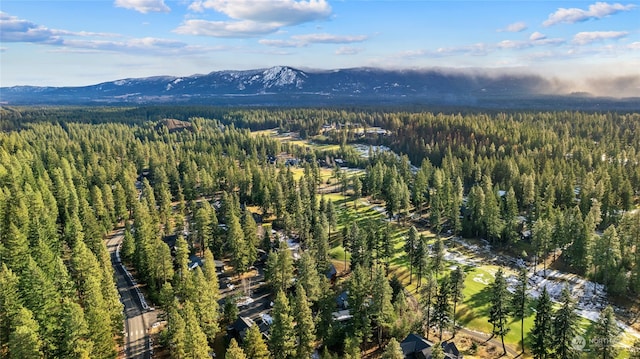 bird's eye view featuring a mountain view and a view of trees