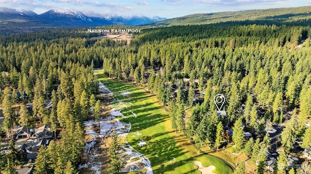 aerial view featuring a forest view and a mountain view