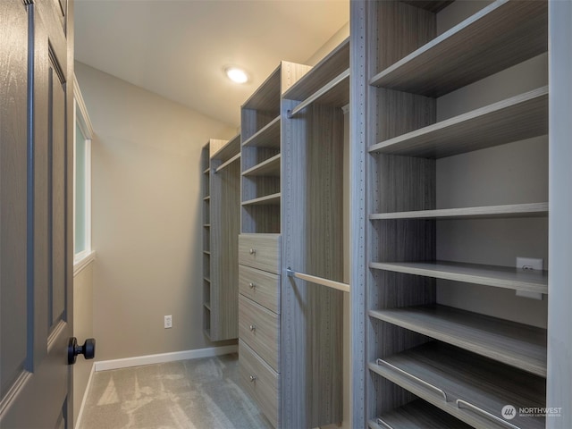 walk in closet featuring light carpet