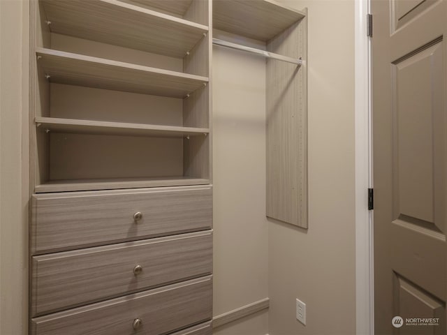 view of walk in closet