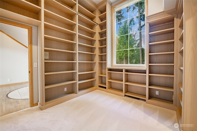 interior space featuring carpet flooring and wood walls