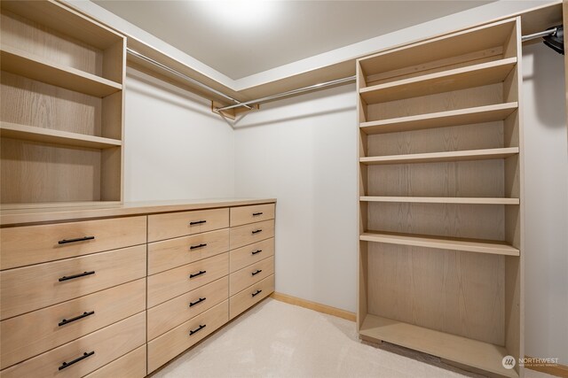 spacious closet with light carpet