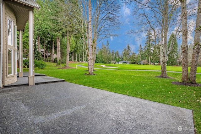 view of yard featuring a patio