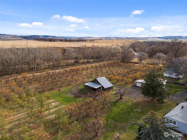 birds eye view of property with a mountain view and a rural view