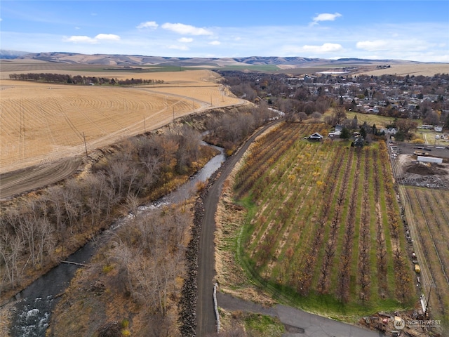 bird's eye view with a mountain view and a rural view