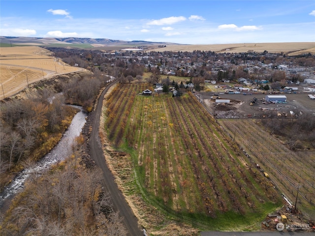 bird's eye view featuring a rural view