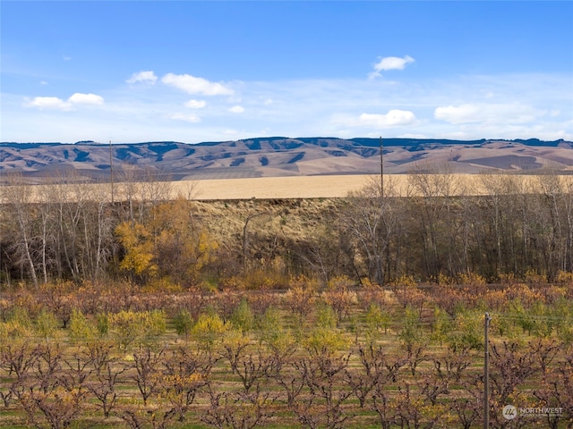 view of mountain feature