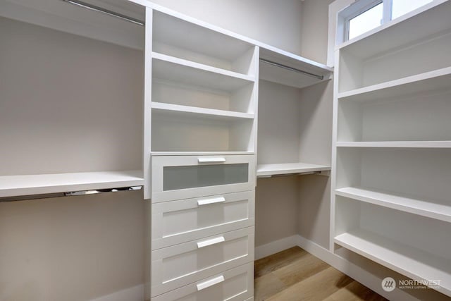 spacious closet with light hardwood / wood-style flooring