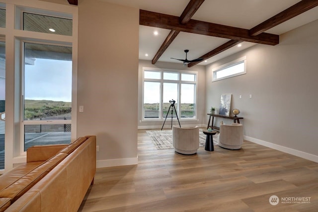 living area featuring beamed ceiling, ceiling fan, and light wood-type flooring