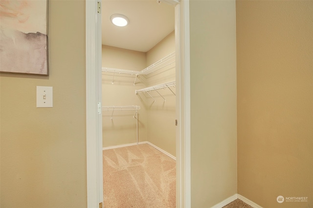 walk in closet featuring light colored carpet