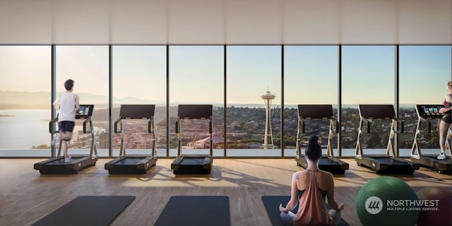 exercise room with wood-type flooring and floor to ceiling windows