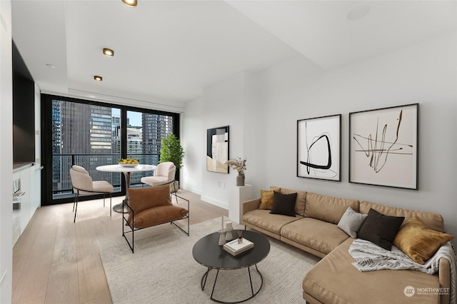 living room featuring light hardwood / wood-style floors and expansive windows