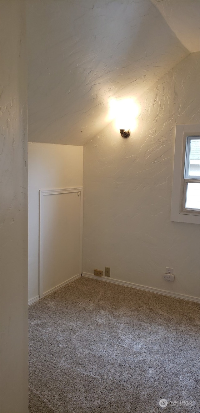 additional living space with carpet and vaulted ceiling