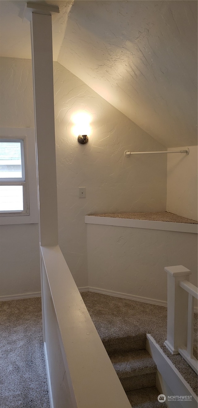 bathroom featuring vaulted ceiling