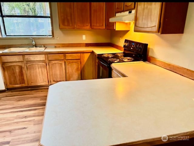 kitchen with black electric range oven, light hardwood / wood-style flooring, and sink