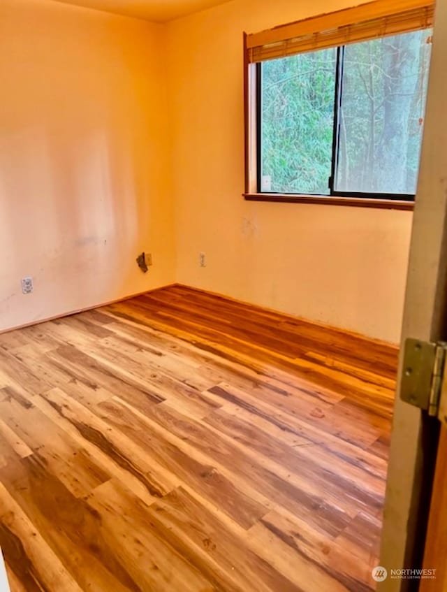 spare room featuring wood-type flooring