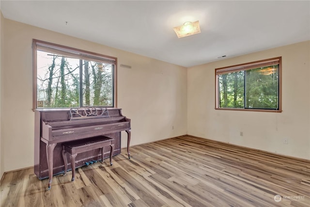 misc room with a wealth of natural light and light wood-type flooring