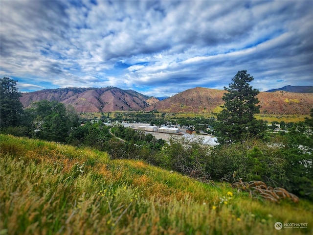 309 Kennedy Rd, Cashmere, WA 98815 - photo 1