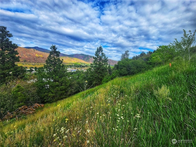 309 Kennedy Rd, Cashmere, WA 98815 - photo 2