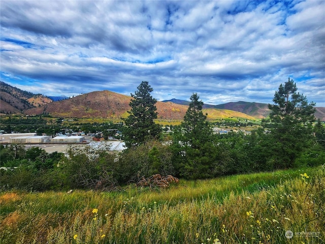 309 Kennedy Rd, Cashmere, WA 98815 - photo 3