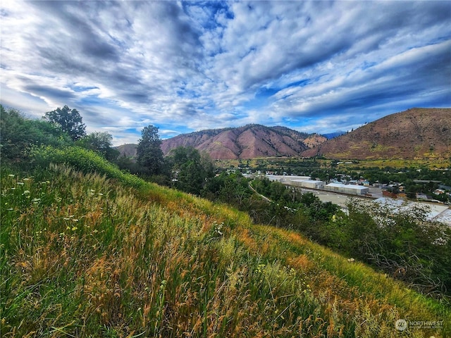 309 Kennedy Rd, Cashmere, WA 98815 - photo 4